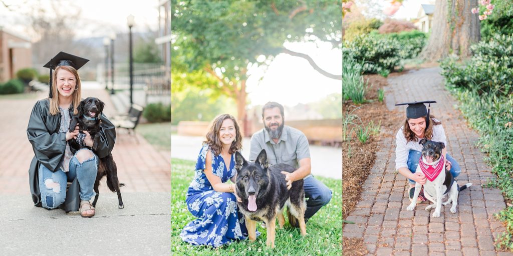 Dog Photoshoot Ideas | Tips for Pictures of Your Dog