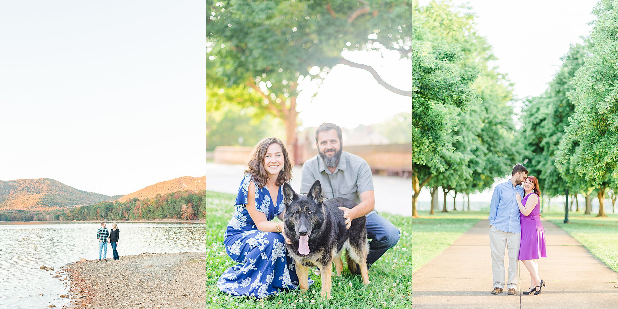 Dog in engagement photos.