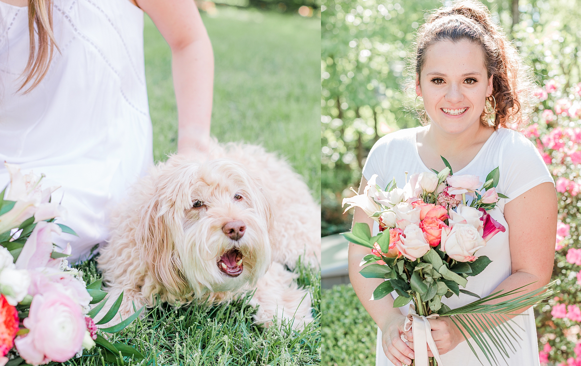 Two pictures side by side showcasing dog and Farmgirl Flowers Bouquet.