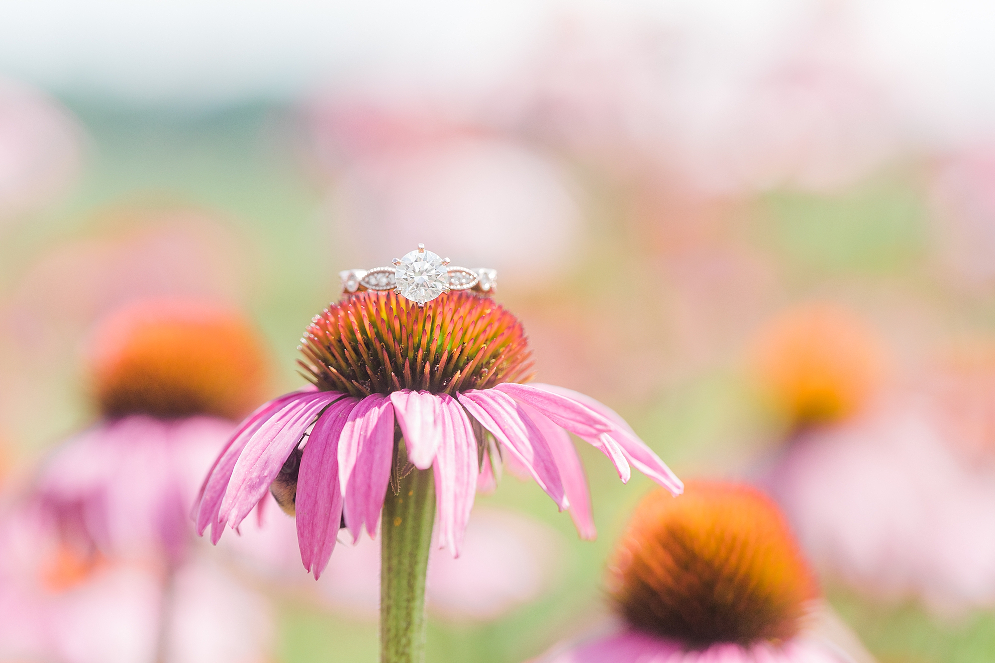 Ring sitting on top of pink flower.