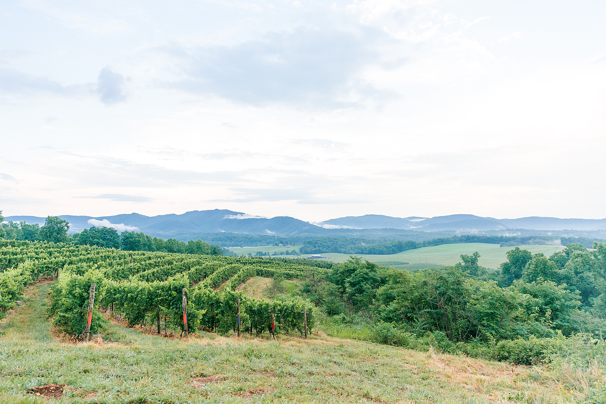 Wedding venue in Central Virginia with mountain views taken by Charlottesville wedding photographer Ashley Eagleson Photogaphy.