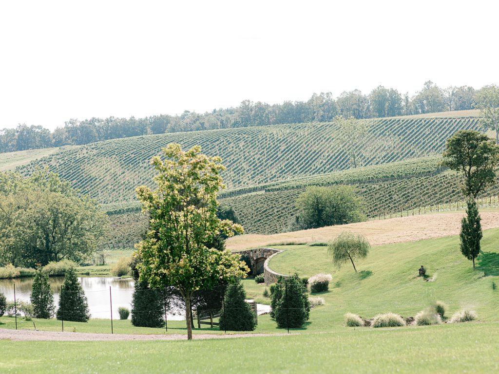 Wide landscape photo of Stone Tower Winery in the summer.