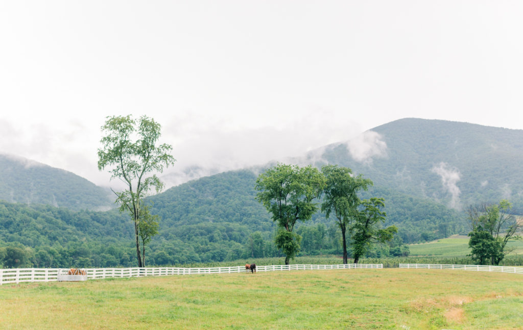 Virginia wedding venue with a mountain view. Horses roaming around in field in front of mountains.