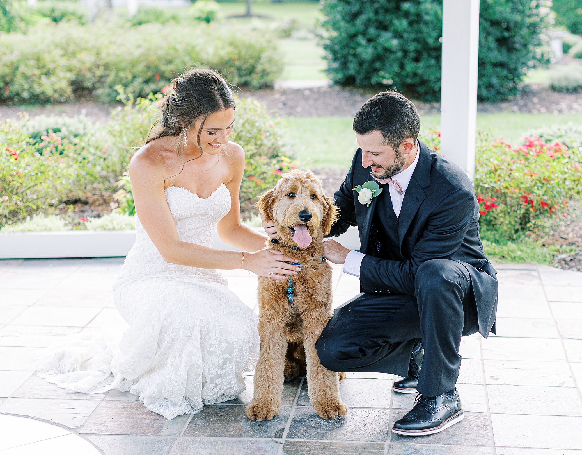 Puppy joins bride and groom for photos at wedding in Richmond.