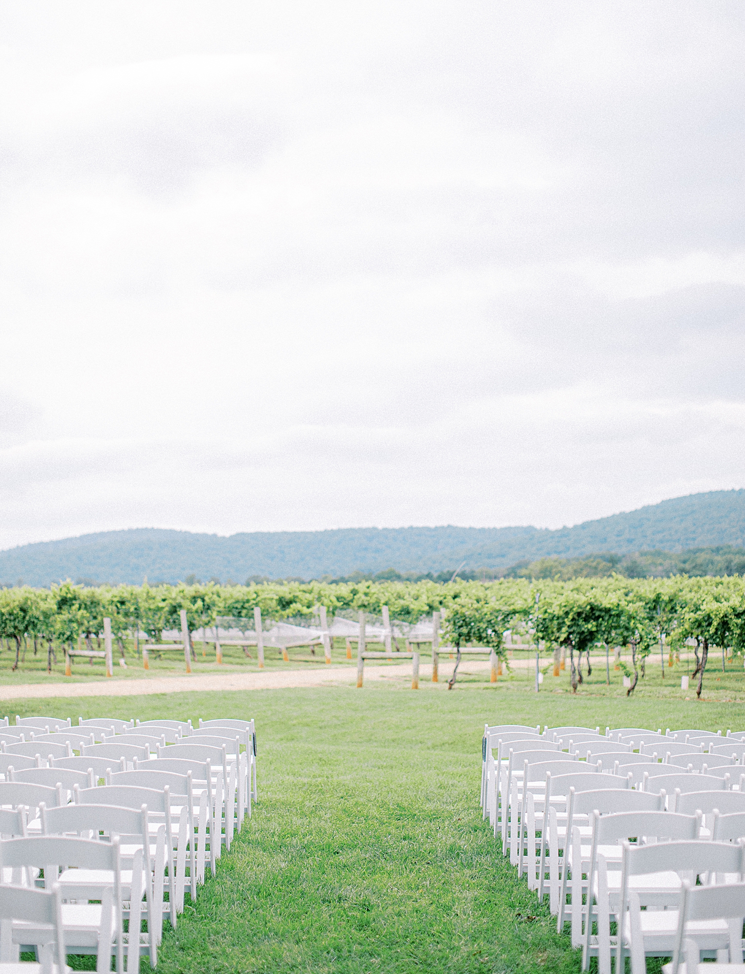 Ceremony photo at Keswick Vineyards overlooking mountains by Charlottesville wedding photographer.