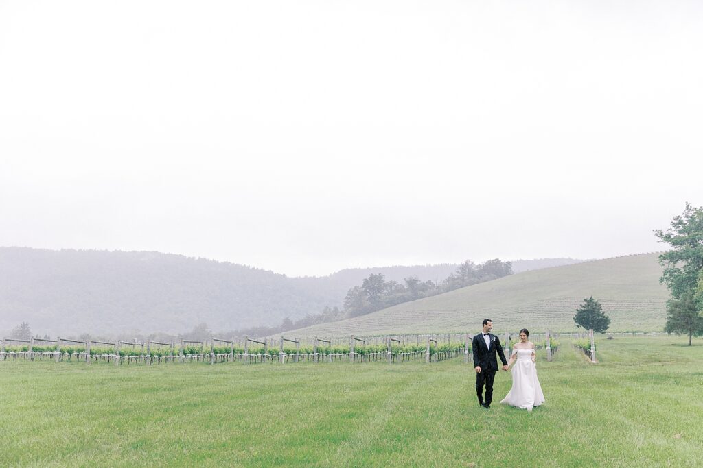 Wide shot of wedding portrait walking through vineyard.